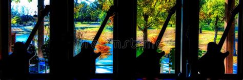 405 Trees Guitar Water Stock Photos Free Royalty Free Stock Photos