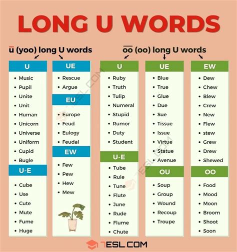 Long U Words 100 Long U Vowel Sound Words