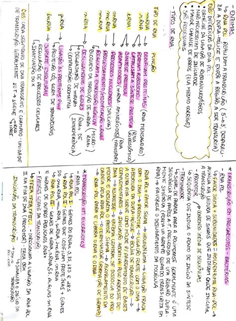 Do DNA à Proteína Biologia Molecular