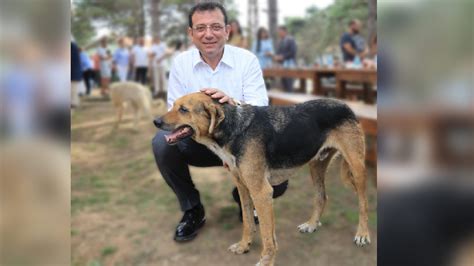 İmamoğlu Hayvan yasa tasarısı uygulanamaz Son Dakika Haberleri