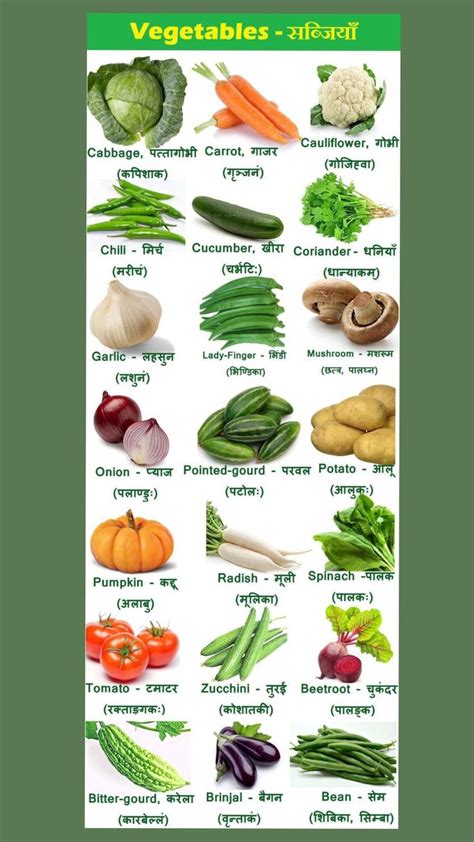 Vegetables Names In English And Hindi Name Of Vegetables List Of