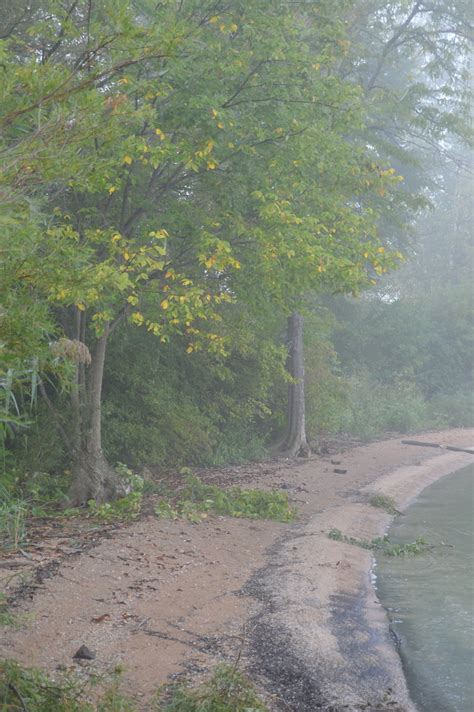 The Beach In Fog Sapphire Dream Photography Flickr