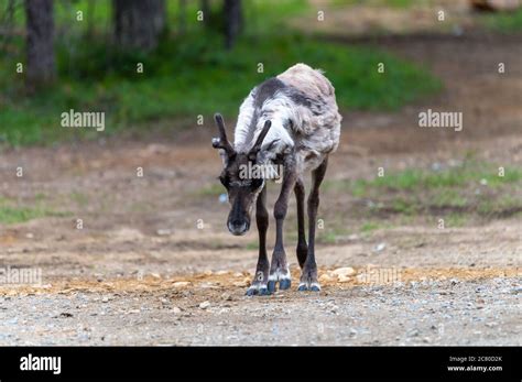 Human Settlements Hi Res Stock Photography And Images Alamy