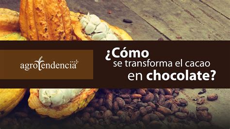 As Se Hace El Chocolate Maneras De Procesar El Cacao Youtube