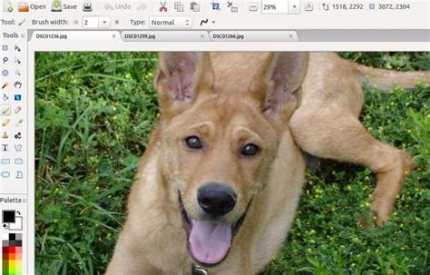 Las Mejores Alternativas Gratuitas A Microsoft Paint Para Windows