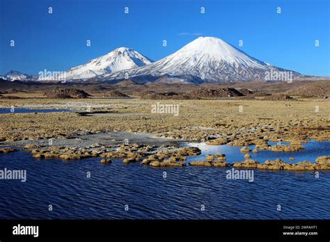 Lauca National Park, Chile Stock Photo - Alamy