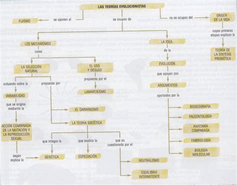 Mapa Conceptual Del Tema 7 El Origen Y La Evolución De La Vida Download Scientific Diagram