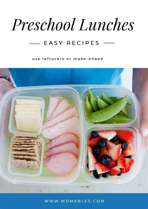 Healthy Preschool Lunch Ideas For Picky Eaters | MOMables