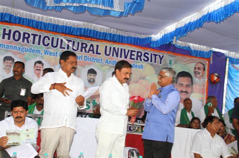 Dr Y S R Horticultural University