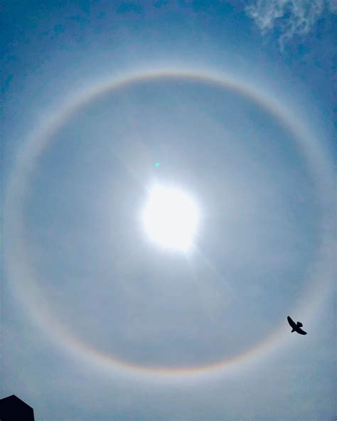 太陽の周りに虹の輪がかかるとき。それは何かのメッセージ。 でこぼこーど