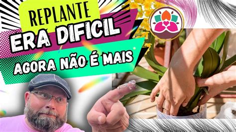 FÁCIL APRENDA COMO FAZER REPLANTE DE ORQUÍDEA ENTOUCEIRADA YouTube