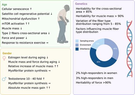 Frontiers The Non Modifiable Factors Age Gender And Genetics