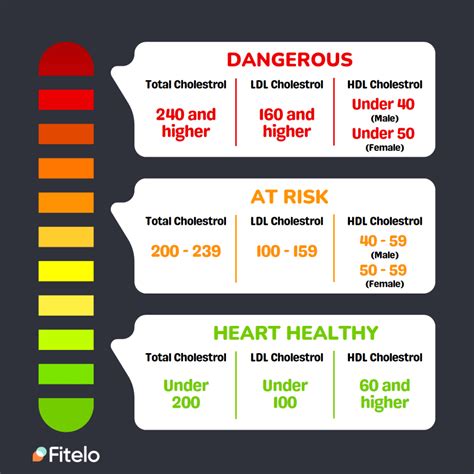 Normal Cholesterol Levels That You Should Maintain To Stay Fit