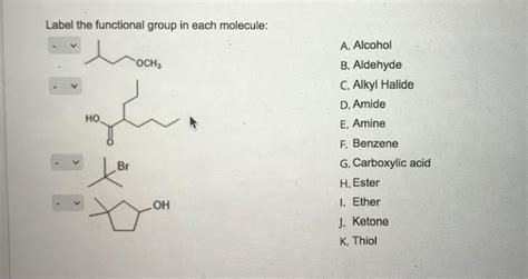 Solved Label The Functional Group In Each Molecule Ho Br Chegg