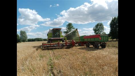 Żniwa 2023 Koszenie Jęczmienia John Deere 6155 M Claas Dominator