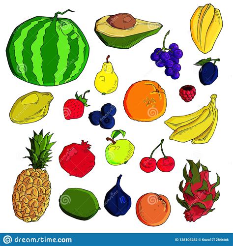 Sistema Del Vector De Frutas Exhaustas De Diversa Mano Ilustración del