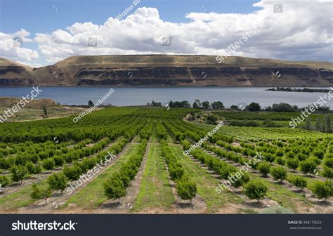 769 Columbia river basin Images, Stock Photos & Vectors | Shutterstock