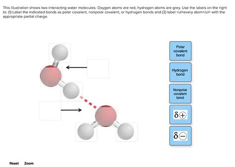 Diagram Water Interactions With Nonpolar Molecules Diagram M