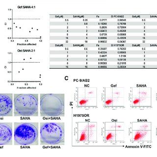 Saha Enhanced The Antitumor Effect Of Egfr Tkis In Vivo A B Nude