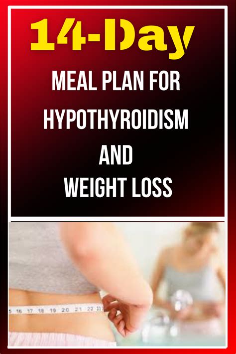 14 Day Meal Plan For Hypothyroidism And Weight Loss