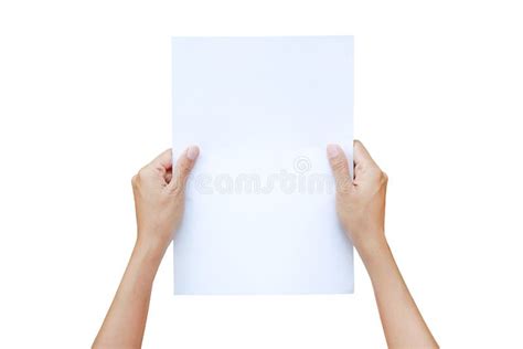 Woman Hands Holding Sheet Of Paper Isolated On White Background Stock