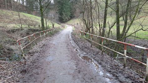 Vorfall Im Rhein Neckar Kreis Seil Ber Mountainbike Strecke Gespannt