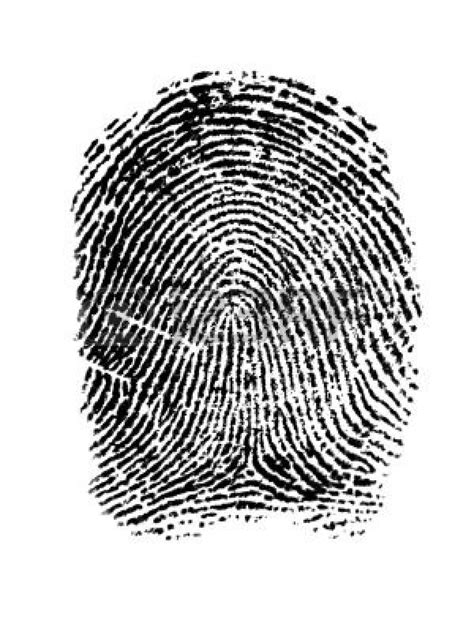 Отпечаток Пальца Фото Крупным Планом — Фото Картинки