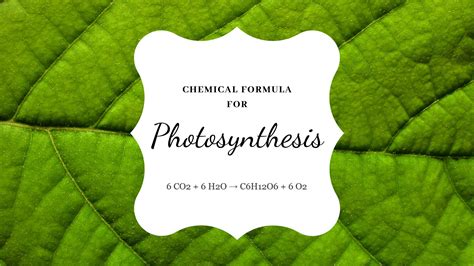 The Chemical Equation For Photosynthesis | Science Trends