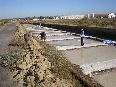 Salinas del Alemán Biomaris Web oficial de turismo de Andalucía