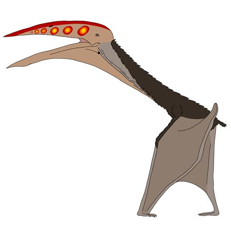 My Hatzegopteryx Reconstruction By Gcjdfkjbrfguithgiuht On Deviantart