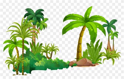 Tree Tropical Rainforest Euclidean Vector Rainforest Png Free