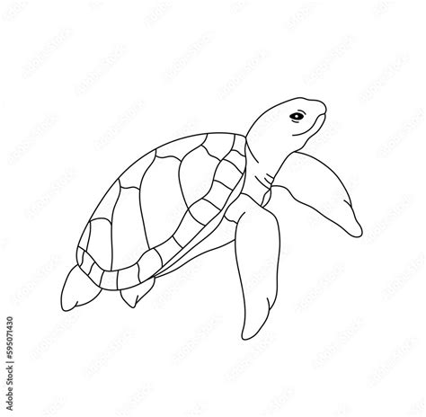 Vector Isolated One Single Swimming Sea Turtle Underwater Colorless