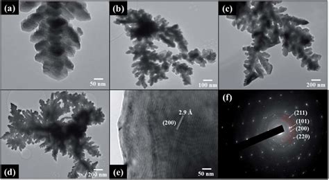 Low Magnification TEM Images Of Dendritic Sn C Nanostructured Samples