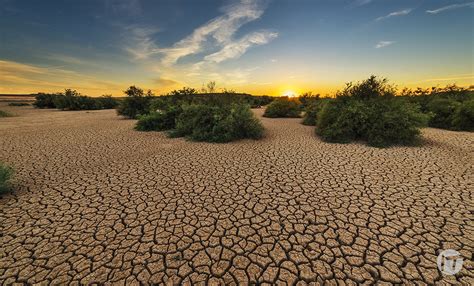 La Sostenibilidad Y Las Medidas Contra La Crisis Clim Tica Dominan Las