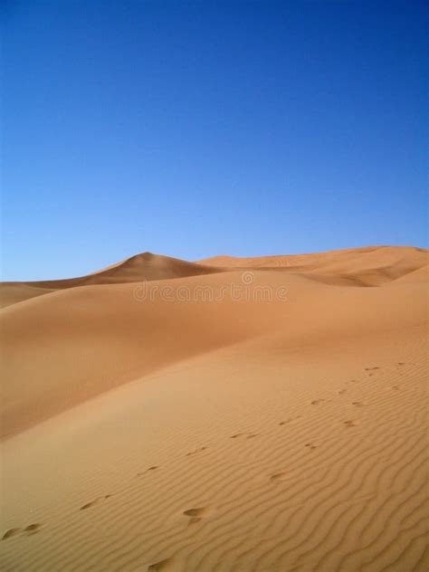 Empreintes De Pas Sur Le Sable Photo Stock Image Du Ext Rieur