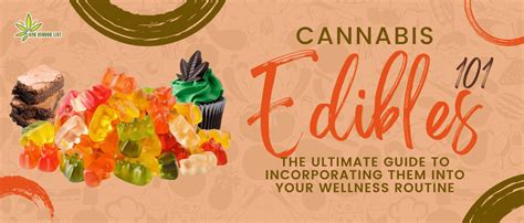 Cannabis Edibles 101 The Ultimate Guide To Incorporating Them Into