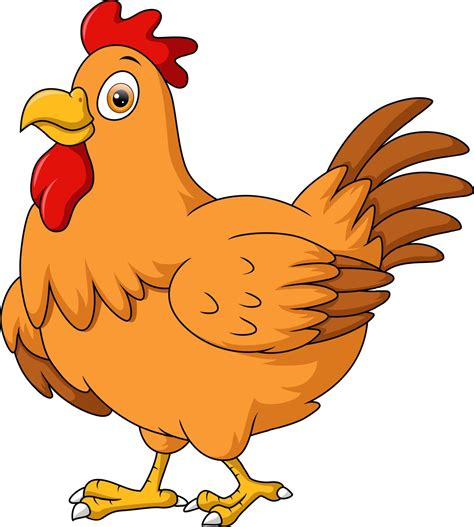 Linda Pollo Gallina Dibujos Animados En Blanco Antecedentes 21458228