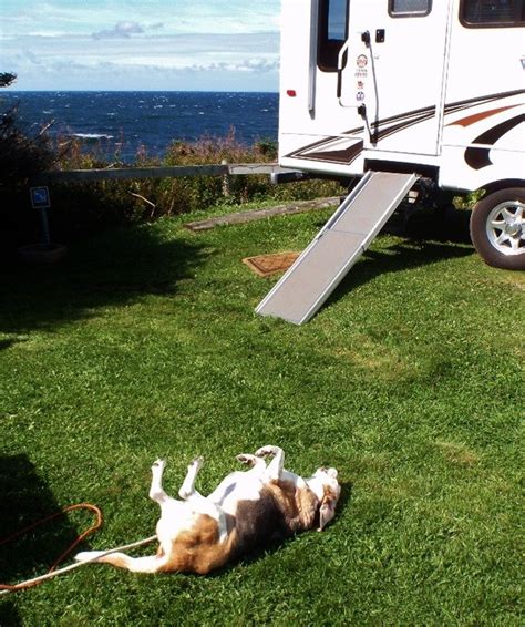 Solvit Rv Dog Ramp Review