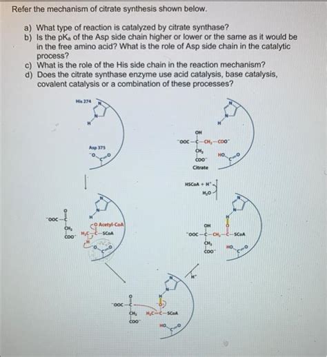 Solved Refer The Mechanism Of Citrate Synthesis Shown Below Chegg