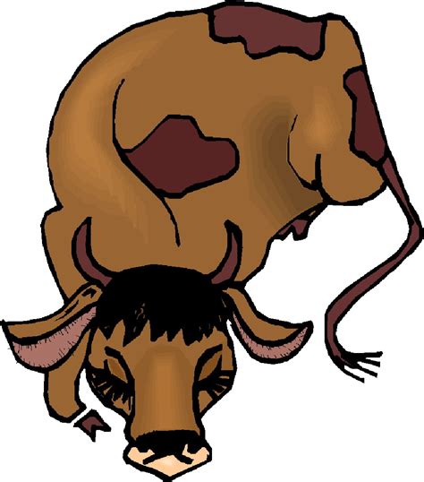 Carabao Drawing | Free download on ClipArtMag