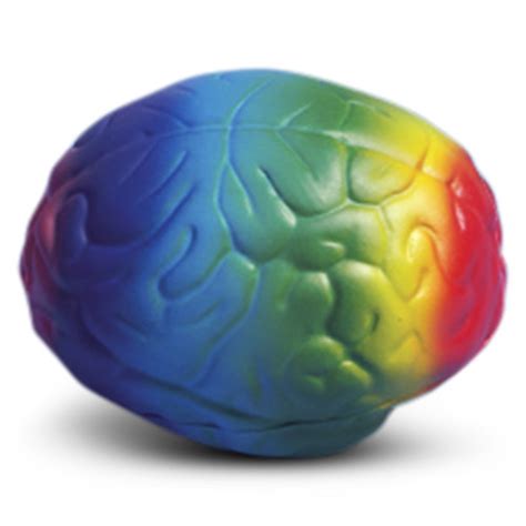 Anxiety Relief Brain Shaped Stress Ball, Foam Squeeze Ball