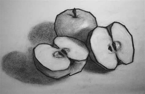 Still Life Charcoal Drawings