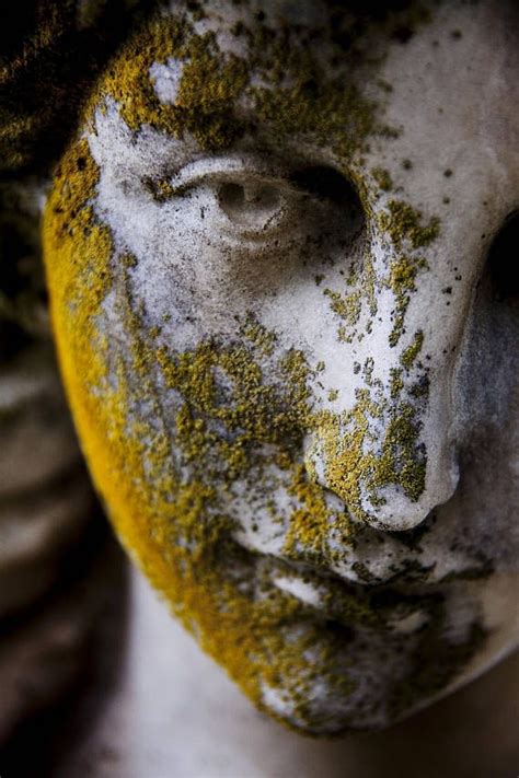 THE ANGEL S CONTEMPLATION Moss Covered Face Of An Angel Etsy Angel