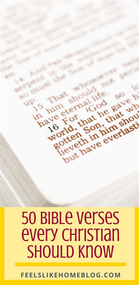 50 Bible Verses Every Christian Should Memorize Feels Like Home