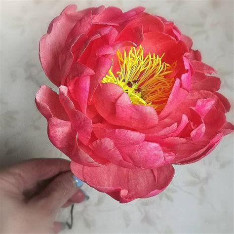 Wafer Paper Flowers Peony Decorated Cake By Iliana Cakesdecor