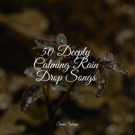 Deeply Calming Rain Drop Songs Album By Rain Recorders Spotify