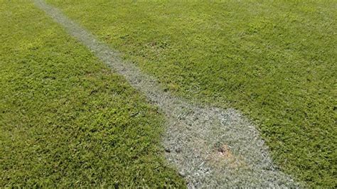 Soccer, Football Field Grass. Close Up of the Lines and Grass on Soccer ...