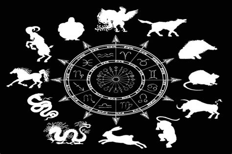 Découvrez à quel animal chinois correspond votre signe astrologique