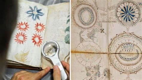 C Dice Voynich El Manuscrito M S Extra O E Intrigante Del Mundo