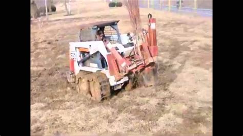 Trees For Wet Clay Soils River Birch Trees YouTube